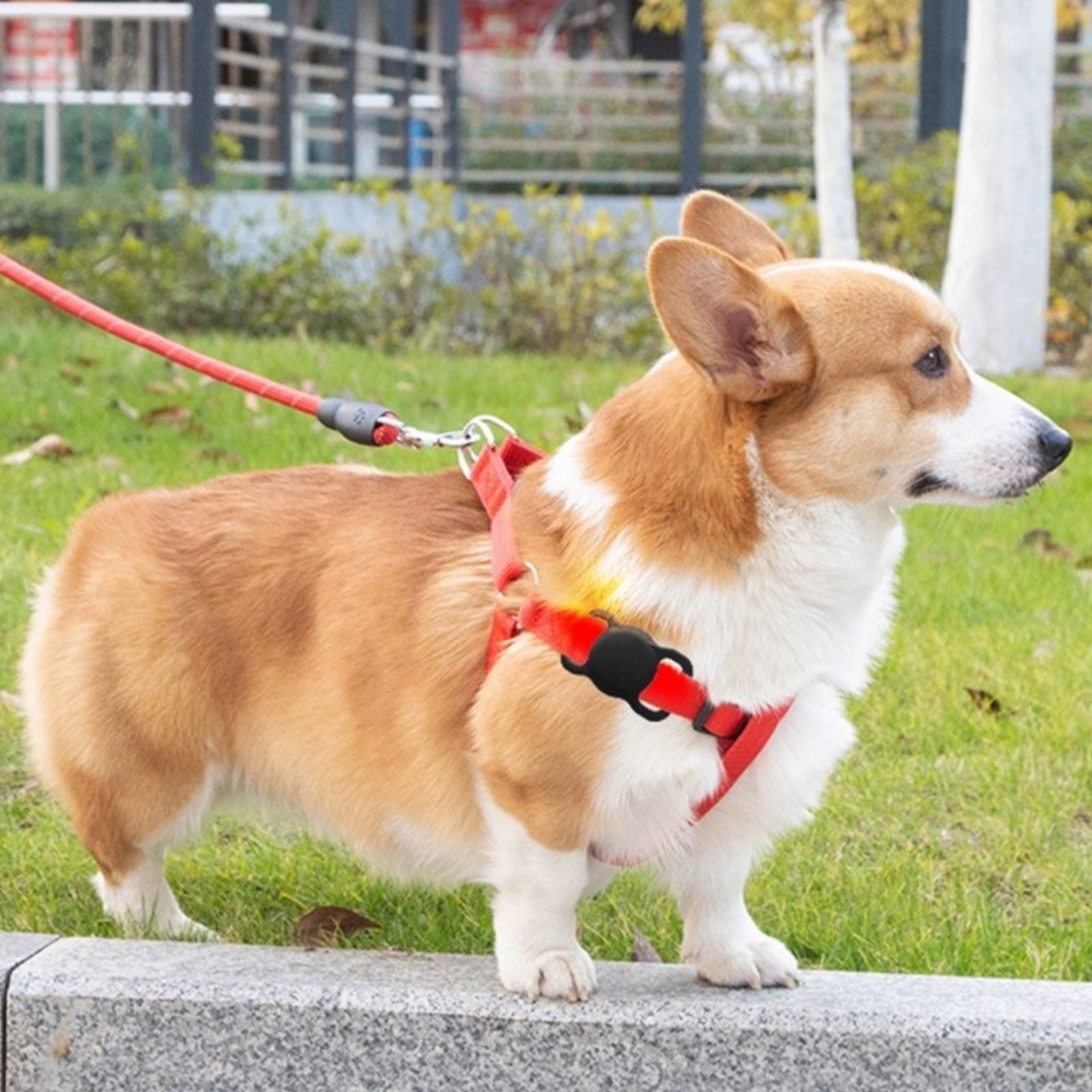 PET Airtag Protective Case